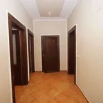 Rent 3 bedroom apartment of 80 m² in Leipzig