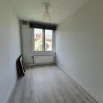 Rent 6 bedroom house of 150 m² in Kastanjebuurt