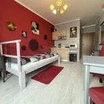 Rent 1 bedroom apartment of 23 m² in Brno