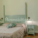 Rent 2 bedroom apartment of 50 m² in Pisa