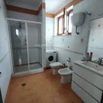 Affitto 3 camera casa di 85 m² in Brindisi