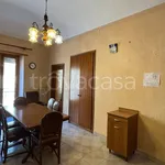 Rent 3 bedroom apartment of 70 m² in Torino