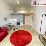 Rent 1 bedroom apartment of 42 m² in Praha