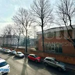 Rent 3 bedroom apartment of 79 m² in Turin