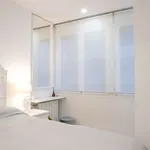 Rent 1 bedroom apartment in madrid