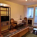 Rent 1 bedroom apartment in Craiova