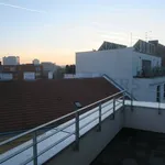 Rent 2 bedroom apartment of 82 m² in Brno