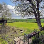 Detached house to rent in Skichenmuir Farmhouse, Near Crombie Park, Angus DD11