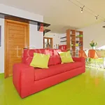 Rent 3 bedroom apartment of 70 m² in Treviso