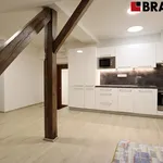 Rent 1 bedroom apartment of 50 m² in Brno