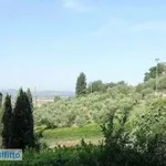 Rent 6 bedroom house of 150 m² in Florence