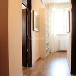 Rent 3 bedroom apartment of 115 m² in Cinisello Balsamo