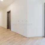 Rent 1 bedroom house of 210 m² in Veselí nad Lužnicí