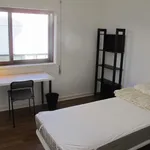 Rent 4 bedroom apartment in Coimbra