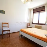 2-room flat via palmiro togliatti, Centro, Adria