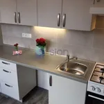 Rent 1 bedroom apartment of 35 m² in Ostrava