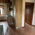 Affitto 1 camera appartamento di 45 m² in Firenze