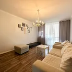 Rent 3 bedroom apartment of 60 m² in Chełm