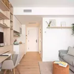 Rent 1 bedroom apartment in Madrid