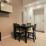 Rent 1 bedroom apartment of 55 m² in milan