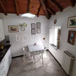 Rent 3 bedroom apartment of 60 m² in Celle Ligure