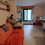 Rent 2 bedroom apartment of 50 m² in Novara