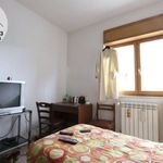 Affitto 5 camera appartamento di 125 m² in L'Aquila