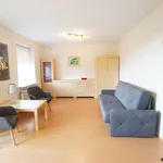 Rent 1 bedroom apartment of 35 m² in szczecin