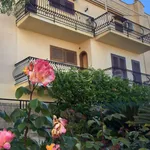 Rent 3 bedroom apartment of 75 m² in Lacco Ameno