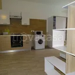 Rent 1 bedroom apartment of 40 m² in San Carlo Canavese