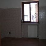 Affittasi Appartamento, Luminoso appartamento non arredato - Annunci Marino (Roma) - Rif.564554