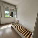 Rent 3 bedroom apartment of 100 m² in Padova