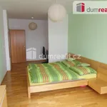 Rent 2 bedroom apartment of 80 m² in Capital City of Prague