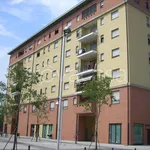 Rent 2 bedroom apartment of 55 m² in Rozzano