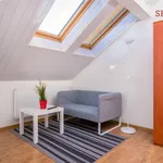 Rent 1 bedroom apartment of 25 m² in Prague