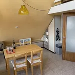 Rent 1 bedroom apartment of 56 m² in Cologne