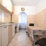 Rent 2 bedroom apartment of 47 m² in Timisoara