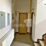 Rent 1 bedroom apartment of 29 m² in Dobřany