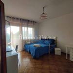 Rent 3 bedroom apartment of 70 m² in Pisa