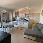 Rent 2 bedroom apartment of 50 m² in Roma