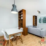 Rent 3 bedroom apartment in Praha 9