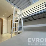 Rent 2 bedroom apartment of 48 m² in Pilsen