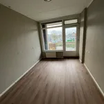 Huur 1 slaapkamer appartement van 42 m² in Groningen