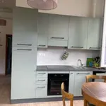 Rent 3 bedroom apartment of 75 m² in Bologna