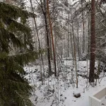 Rent 2 bedroom apartment of 55 m² in Lappeenranta