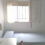 Rent 3 bedroom apartment in Seville