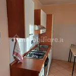 Rent 1 bedroom apartment of 38 m² in Turin