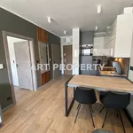 Rent 2 bedroom apartment of 35 m² in Katowice