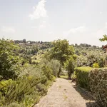 Rent 1 bedroom apartment in Florence