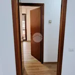 Affitto 2 camera appartamento di 85 m² in Frosinone